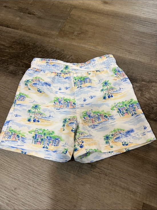 Janie and Jack Other - Janie and Jack X Gray Malin swim trunks size 4